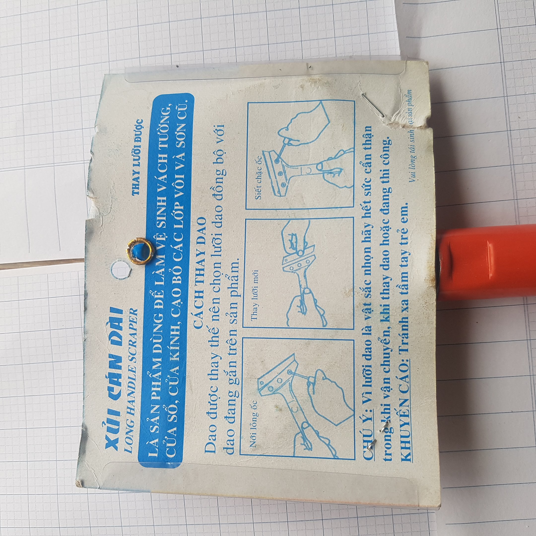 Cây Sủi Sơn - Sủi Sơn Cán Dài 3T - Hình ảnh 2