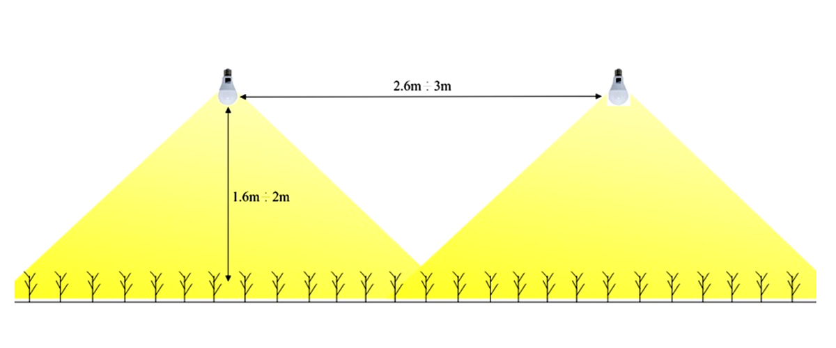 mat-do-bo-tri-den-led-hoa-cuc